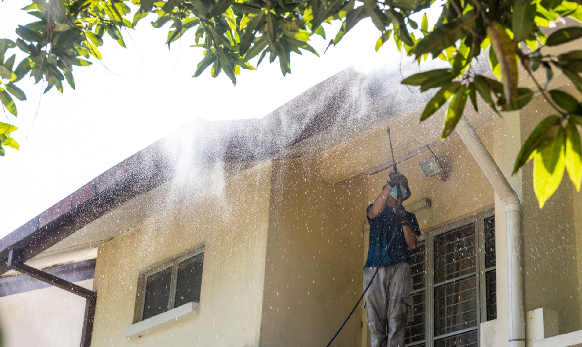 P3-5 Pro Wash soft washing the siding of a customer home
