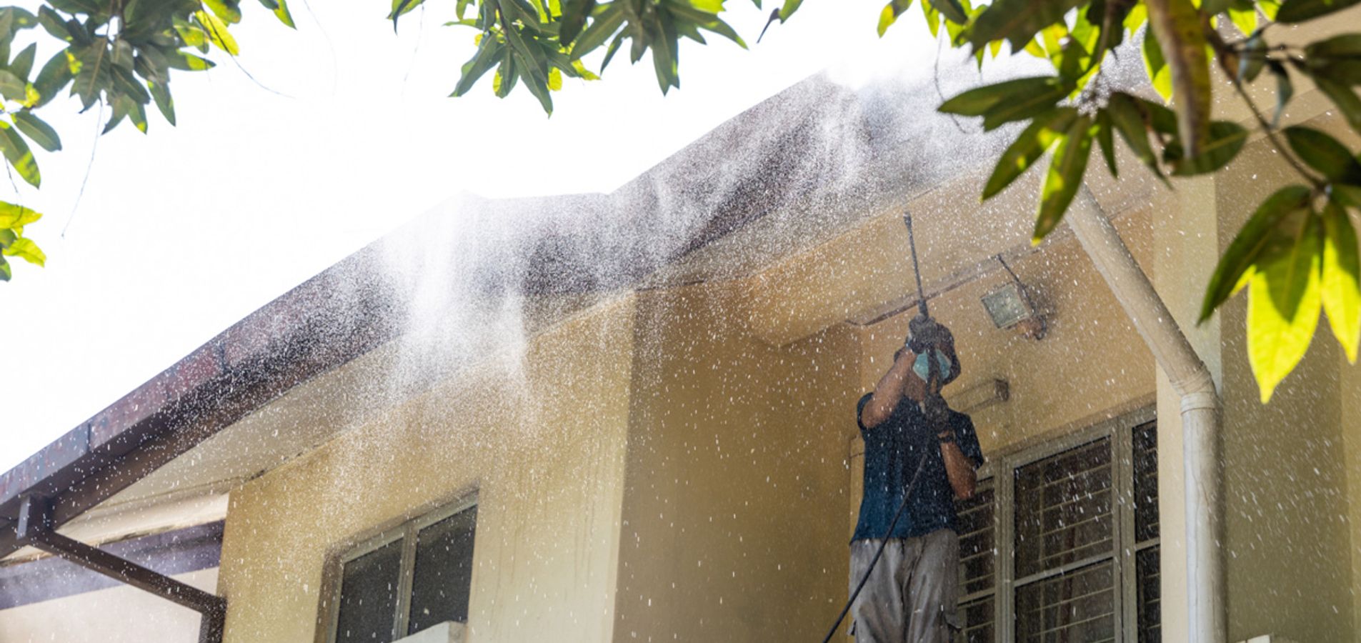 P3-5 Pro Wash soft washing the siding of a customer home